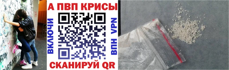 Альфа ПВП СК  Кингисепп 