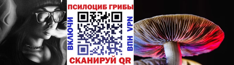 Псилоцибиновые грибы мицелий  Кингисепп 