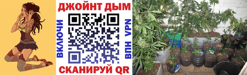 Канабис VHQ  mega   Кингисепп 
